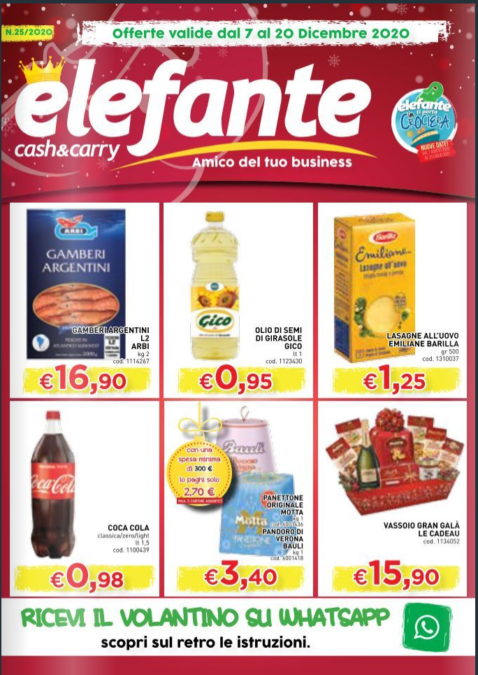 Volantino elefante 07-20 Dic 2020
