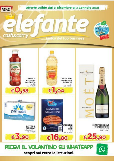 Volantino Cash&Carry l'Elefante vino al 3 Gen 2021