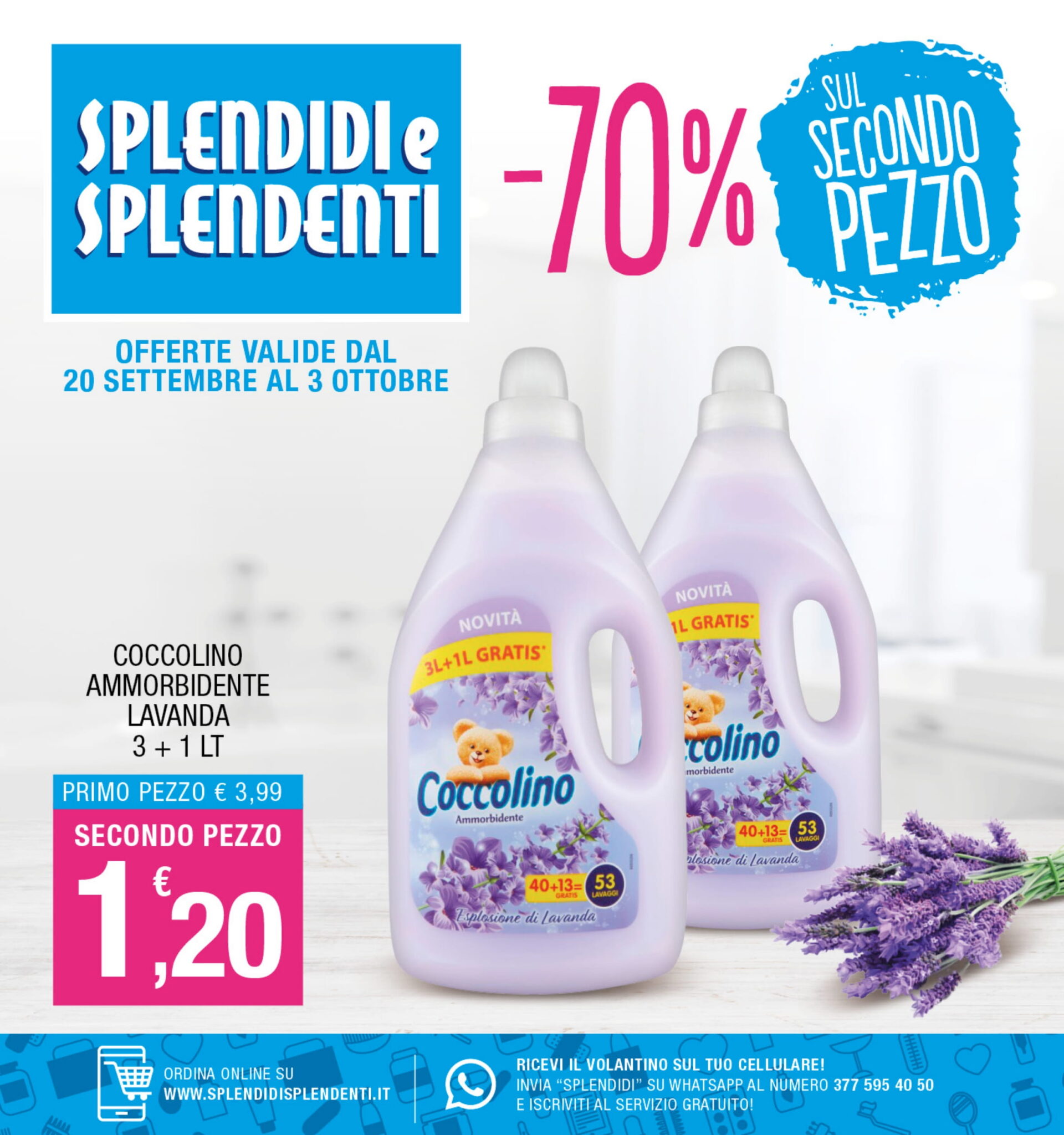 volantino splendidi splendenti gioia tauro