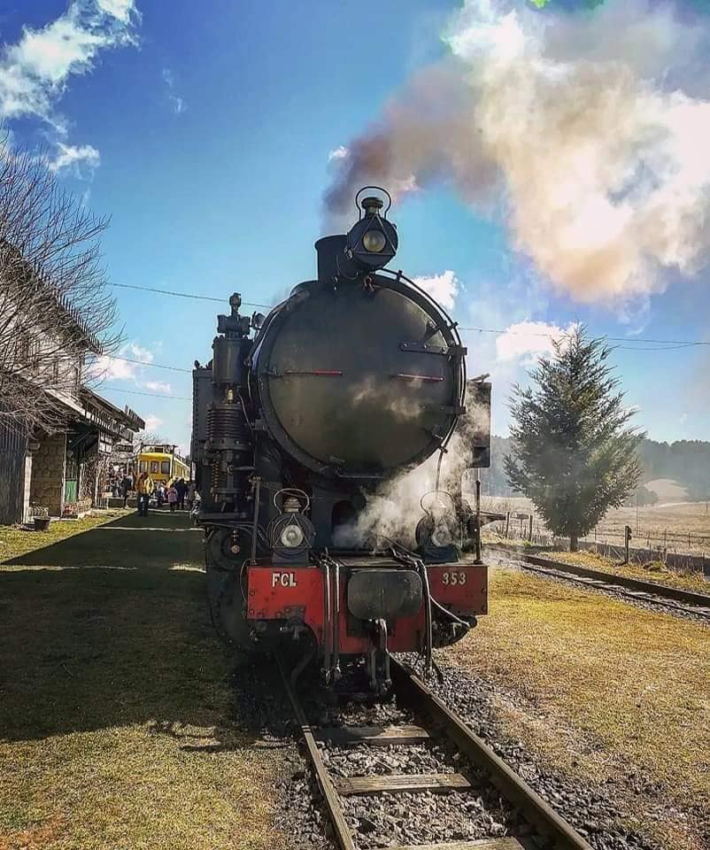 Trenino della Sila:Un viaggio nel cuore della Sila a bordo di uno storico treno a vapore degli inizi del secolo scorso!